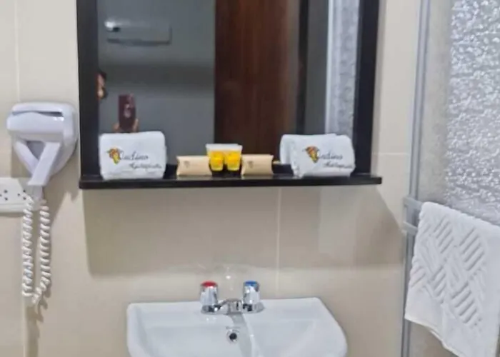 Hotel Andino
